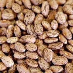 Factory Direct Pinto Beans For Bulk Orders Pinto Beans Maintained With Clean Handling And Professional Supply Support - Image 5