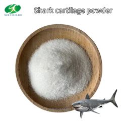 Common Shark Cartilage Extract Powder Low Price - Image 1