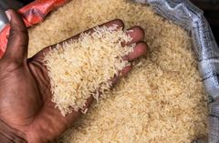 BASMATI & NON BASMATI, WHITE SELLA & GOLDEN SELLA, PUSA RICE, IR64, BROKE RICE – product photo 1, product detail gallery