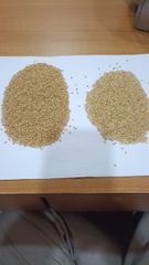Hulled Sesame & Roasted Sesame – product photo 2, product detail gallery