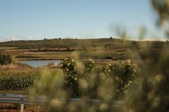 Company – thumbnail 6 of 11, supplier detail gallery