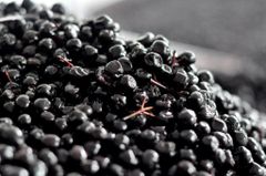 Dried Aronia Berries 100g Type Dried Taste Snack Shape WHOLE Style Dried Weight (kg) 0.1 Specification COA Brand Name - Image 2