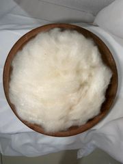 Super Fine Kapok Fiber (Ready Stock 40MT) - Image 1