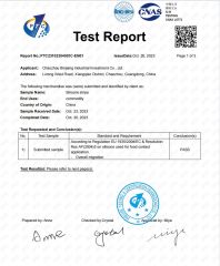 test report certificate from Chaozhou Binjiang Industrial Investment Co., Ltd.
