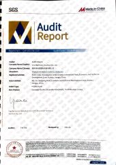 SGS certificate from CNS Machinery (Xuzhou) Co., Ltd.