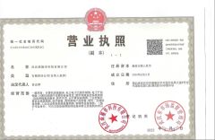 Business License certificate from CENTURY SOLUTIONS LIMITED
