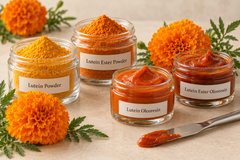 Lutein ester for nutraceuticals and animal feed - Image 1