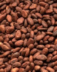 Cocoa beans from peru for human consumption - Image 1