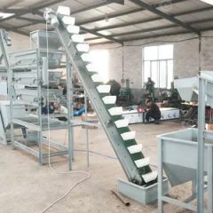 Automatic Processing Line Peanut Kernel Nut Size Grader Hazelnut Cracking Shell Almond Grading Machine in Low Price - Image 2