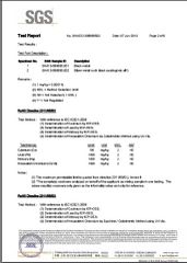 SGS certificate from Changzhou Longxiang Gas Spring Co., Ltd.