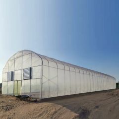 Plastic Single Span Temperature Control Grow Greenhouses Size Large Width 6-10m Span Single Layer Double Length 20-200m Location - Image 2