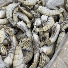 Frozen Black Tiger HLSO Easy Peel Black tiger shrimp – product photo 1, product detail gallery