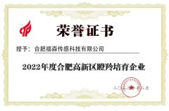 Gazelle Enterprise of Hefei Hi-Tech Zone certificate of Focus Sensing and Control Technology Co., Ltd. – certificate photo, supplier certificates section