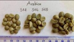 Arabic coffee - Image 2
