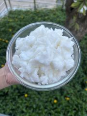 Nata de Coco in Syrup, Raw Nata de Coco – product photo 4, product detail gallery