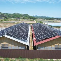 PV Tin Roof Bracket Kit for Solar Panel - Xiamen Wintop New Energy Tech Co., Ltd.