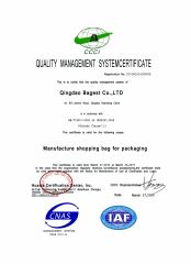 ISO certificate from Qingdao Bagest Co., Ltd.