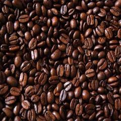 Green Arabica Coffee Beans Wash Process High Quality S16 with 98% Maturity Cherries Wholesale Low Price In Vietnam Manufactory - Image 2