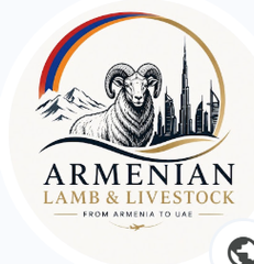 I Am selling ram and ewe - Image 1