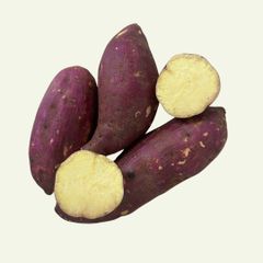 Sweet Potato Flavor Naturally Sweet Texture Smooth And Firm Harvesting Method Harvested At Peak Maturity Nutritional Content Rich In Vitamins, Minerals, And Dietary - Image 1