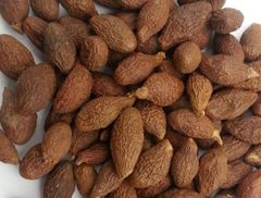 Malva Nut - Image 3