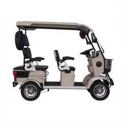 4 Carry Passengers Car Sightseeing Bus 4 Wheel Golf Cart Electric Car - Tianjin Holladay Technology Co., Ltd.