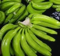 Fresh Cavendish Banana - Image 1