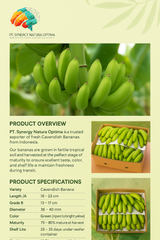 Cavendish banana – product photo 1, product detail gallery