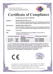 Smartwatch CE certificate from Shenzhen Risinno Gift Co., Ltd