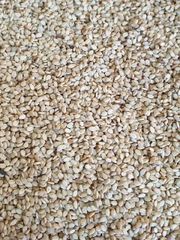 Sesame Seeds – product photo 3, product detail gallery