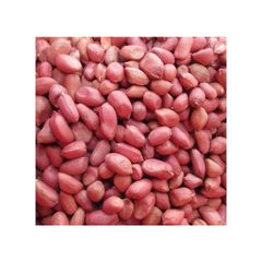 Peanuts bulk supply wholesale cheap price premium quality – product photo 3, product detail gallery