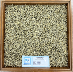 Laos Arabica Grade 1, Screen 16 18, Fully-Washed - Image 5