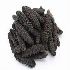 Dried sea cocumber - Image 2