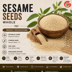 Sesame Seeds | Indian Sesame Seeds | Natural & Hulled | Organic & Conventional | Bulk Export - Image 1