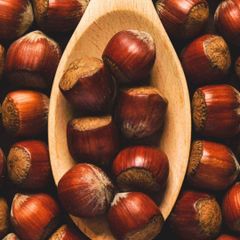 Wholesale Natural Hazelnuts Premium Bulk Supply Fresh Roasted Snack Healthy Delicious and Nutritious for Export - Image 4