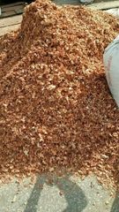 WOOD POWDER SD - Image 1