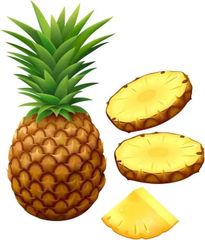 FRESH PINEAPPLE FRUIT/ Ananas comosus/ Fresh Pineapple Style Fresh Type Pineapple Address AFRICA Content PROTEIN Shelf Life 3 - Image 1