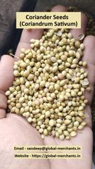 Coriander Seeds from India | Premium Quality Whole Coriander | Bulk Export - Image 3