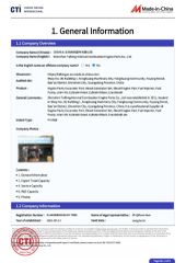 Our certificates certificate from Shenzhen Taifeng Internal Combustion Engine Parts Co., Ltd