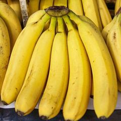 Natural Bananas Fresh Delicious Fruit Selection For Grocery Stores Supermarkets Restaurants Cafes – product photo 3, product detail gallery