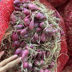 Organic Premium Quality Fresh Red Onion Best Price with Free Tax - Image 6
