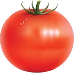 Oblate shape for fresh tomato verities in south africa Color Red Type Tomato Shape Round Content n/a Style Fresh Address - Image 6