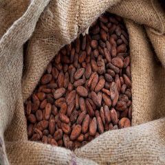 Best Quality Cocoa Beans Dried Raw Cacao Fermented Cocoa Beans at Wholesale Price - Image 2