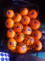 Mandarin - Image 5