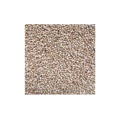 Wholesale sorghum grains bulk supply for food processing and milling - Image 3