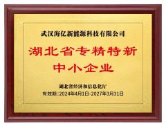 Provincial-Level Specialized and Innovative Enterprise Certificate certificate from Hyvitech New Energy Technology Co., Ltd.