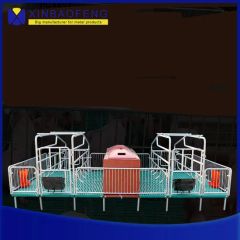 Made-in-China Livestock Equipment Farrowing Crate Pig Equipment for Sale Agricultural Machinery - Image 2