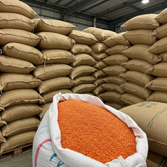 High Protein Red Lentils Carefully Selected Red Lentils Providing Healthy Choice For Global Food Industry Suppliers - Image 3