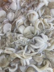 Frozen Baby Octopus Whole Cleaned (Single Skin/ iidako) Origin Vietnam Place of Origin Vietnam Weight (kg) 100% net weight - Image 2