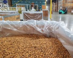 Buy Almond Nuts Online | Premium Raw & Roasted California Almonds Online – Wholesale & Bulk Orders - Image 3